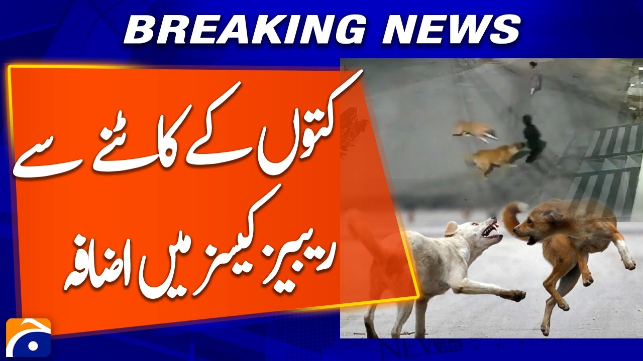 Growing Dog Bite Reports Trigger Rabies Concerns - Geo Pakistan - Geo News