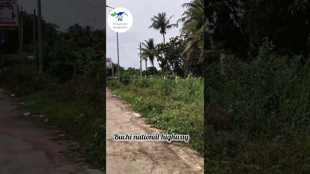 20 అంకనాల plot కేవలం 11 లక్షలు మాత్రమే // Nellore real estate// Plot sale in buchi #trendingshorts