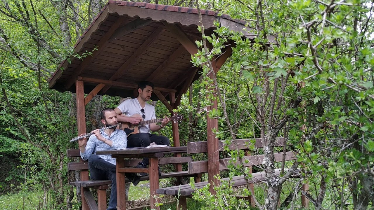 Yıldıray Yılmaz - Aldı Gitti | Gitar Yan Flüt