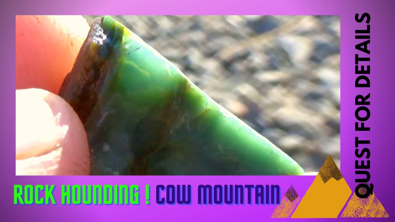 Rockin' Cow Mountain Fall 2020 Rockhounding California - Quest 4 Treasure #529 By :Quest For Details