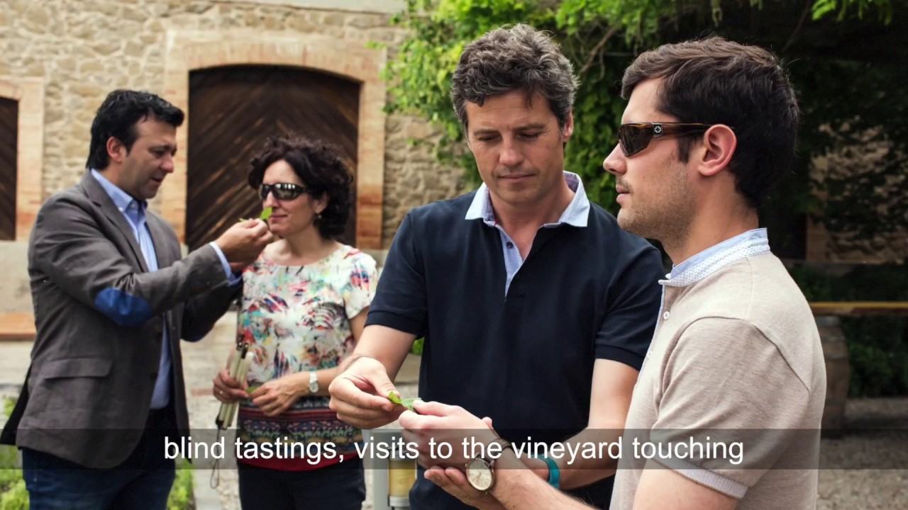 Vi&ntilde;as del Vero Winery. Somontano. Vitis 4All. English version