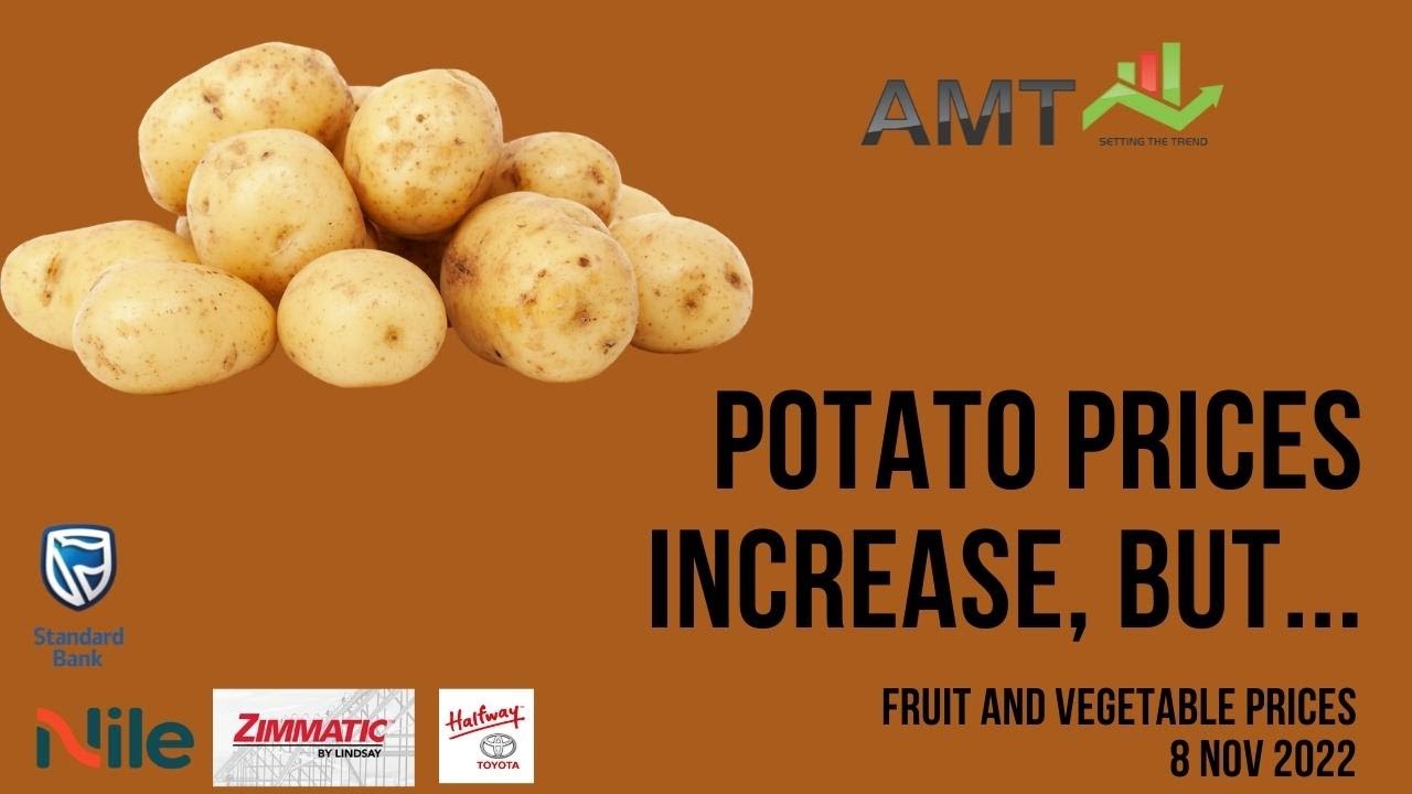 Potato and Tomato Prices increase | 8 Nov 2022 | AMT Fresh Produce Outlook