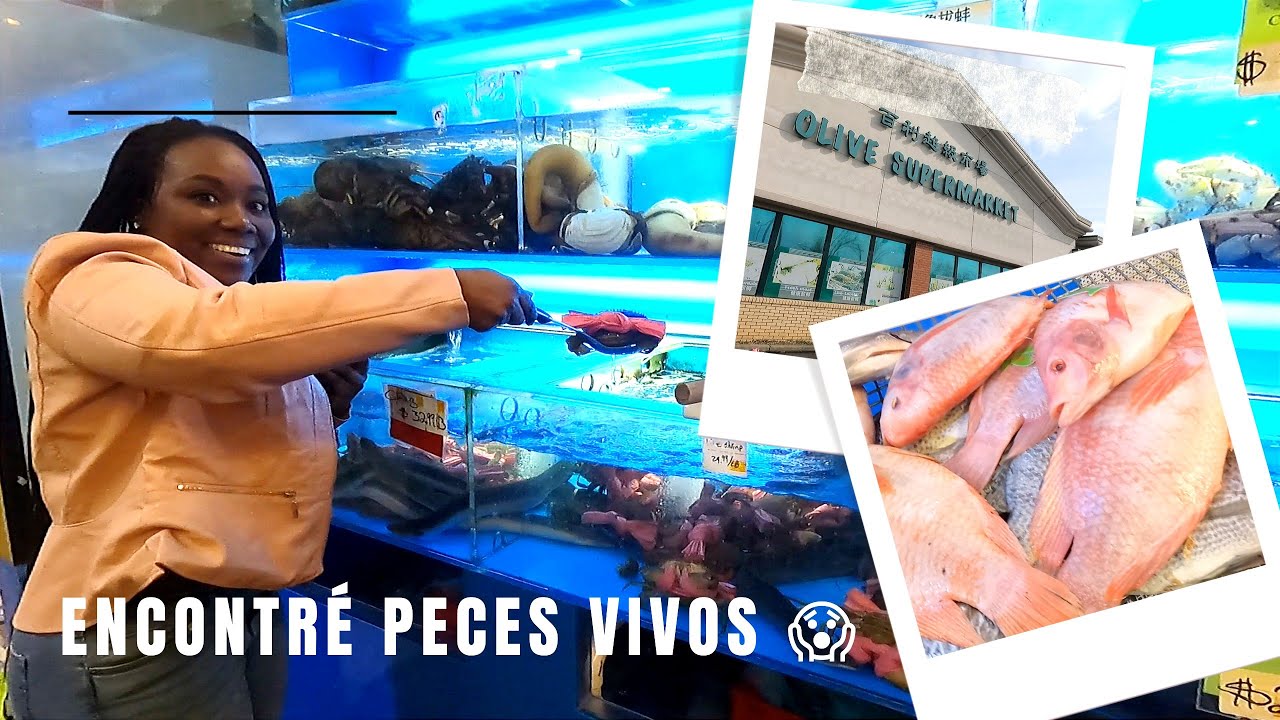 Encontré pescados frescos en los EE. UU.
