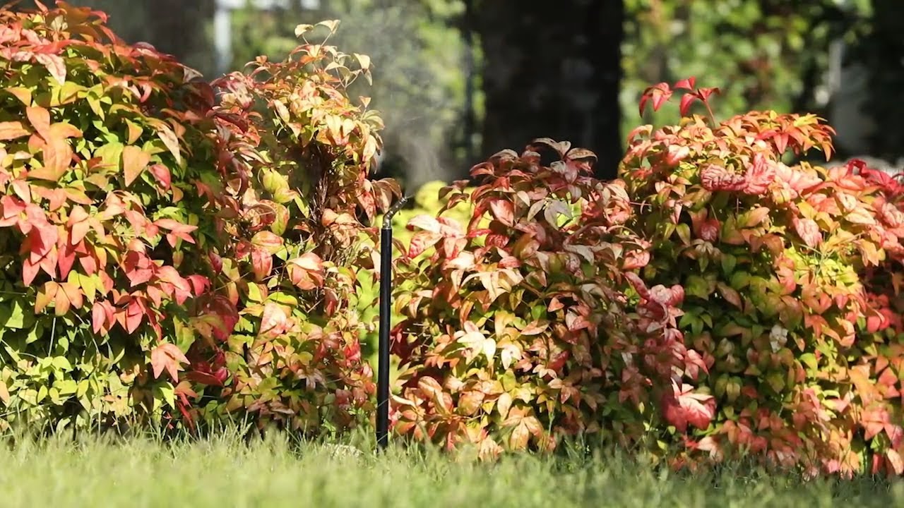 Cos'è un impianto antizanzare MistAway e come funziona