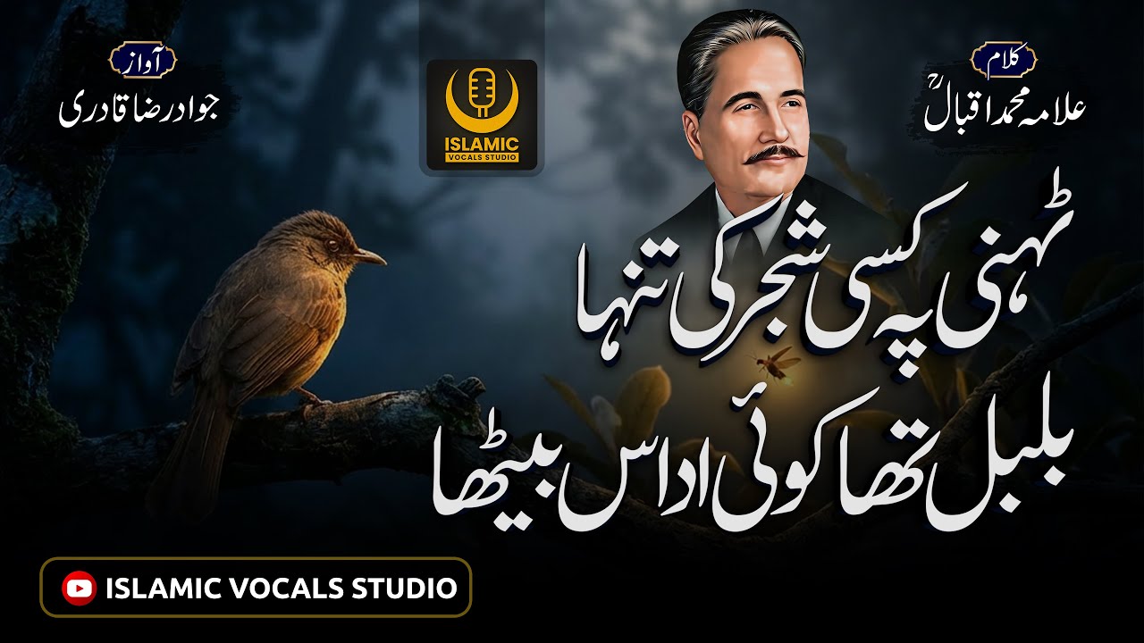 Bulbul Aur Jugnu | Tehni Pe Shajar Ki Tanha | Kalam of Iqbal | Jawad Raza Qadri