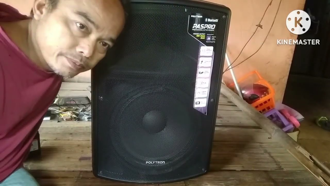 speaker aktif Polytron baterai drop/ tidak bisa di cas