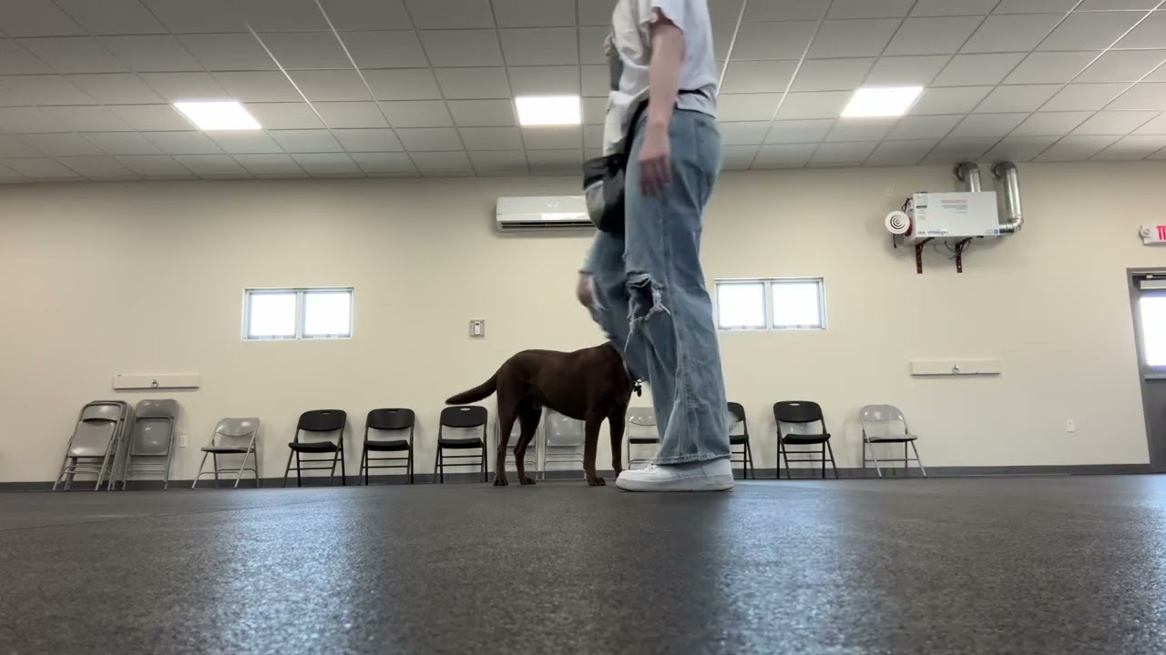 Stand for Exam Exercise