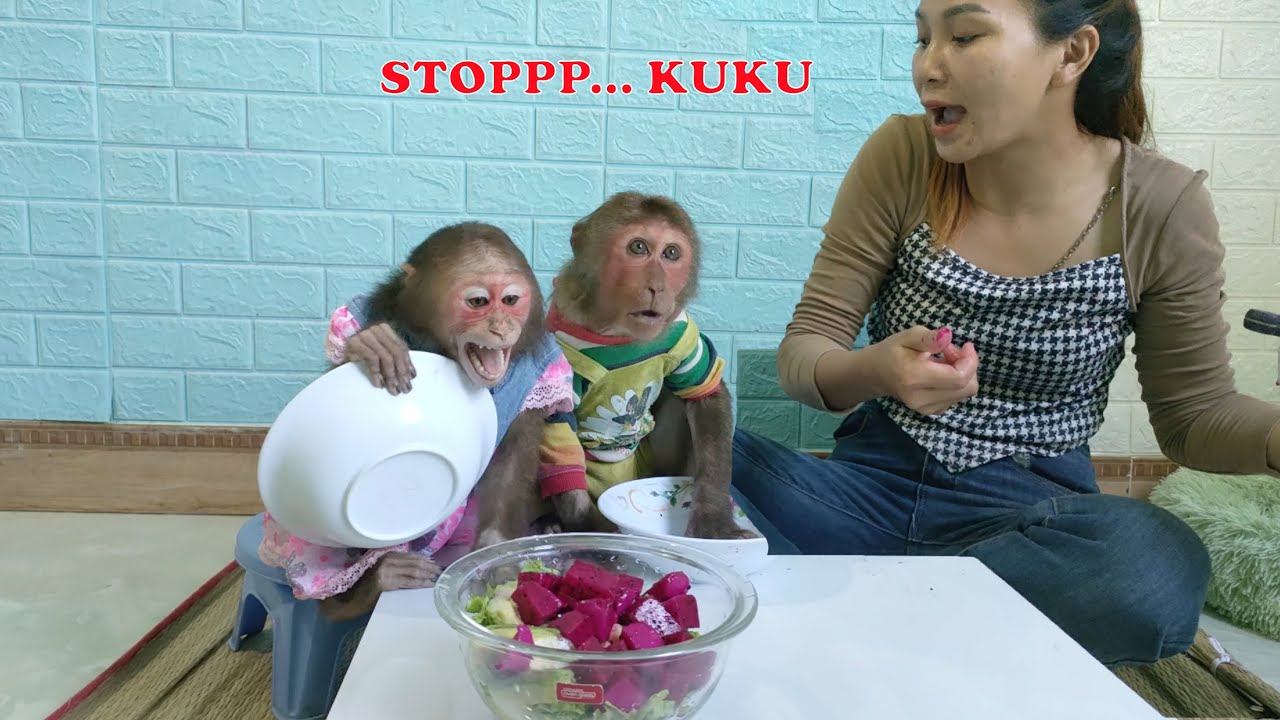 MIMI KUKU scrambles for bowls while eating