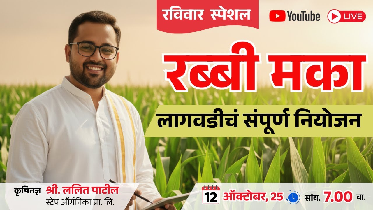 रब्बी मका लागवडीचं संपूर्ण नियोजन  | rabbi maka lagvadiche sampurn niyojan @stepgroworganica