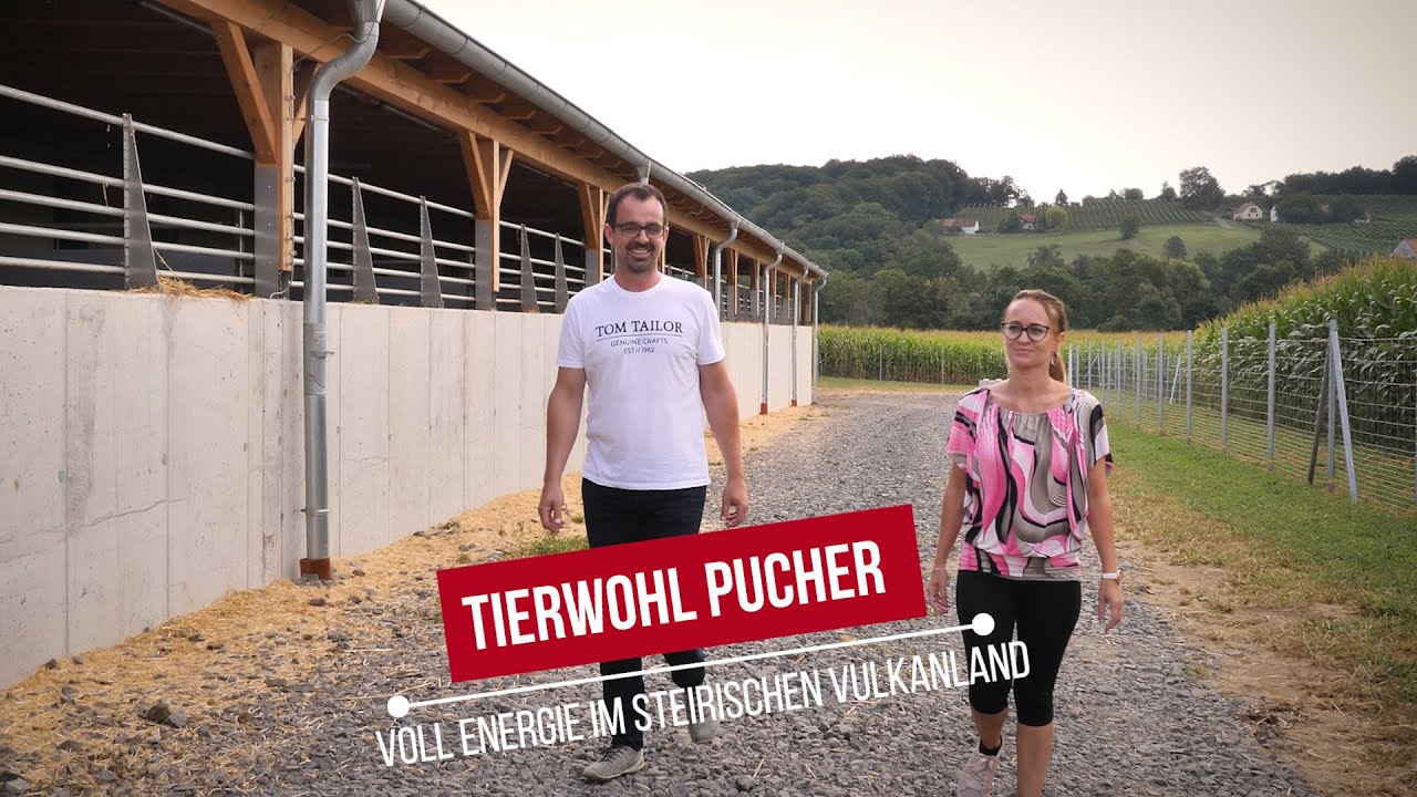 Voll Energie im Steirischen Vulkanland | Tierwohlstall Pucher | vulkantv.at