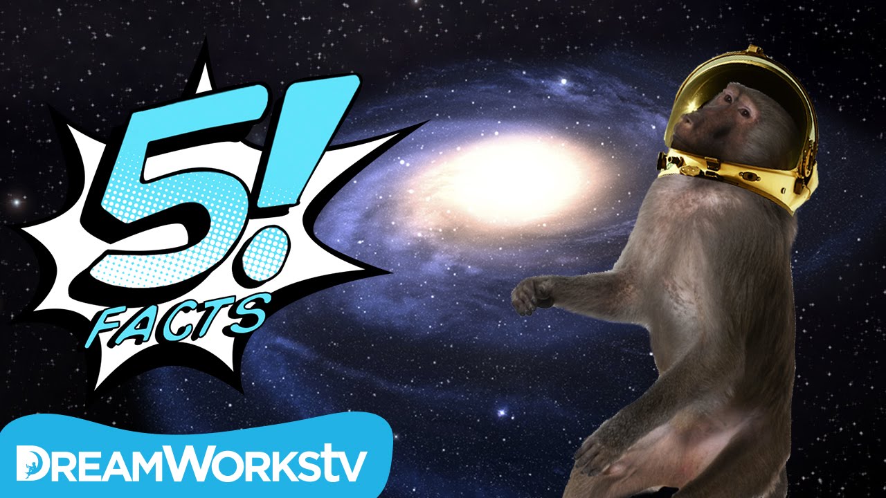 5 Facts about the Galaxy You Won't Believe! | 5 FACTS