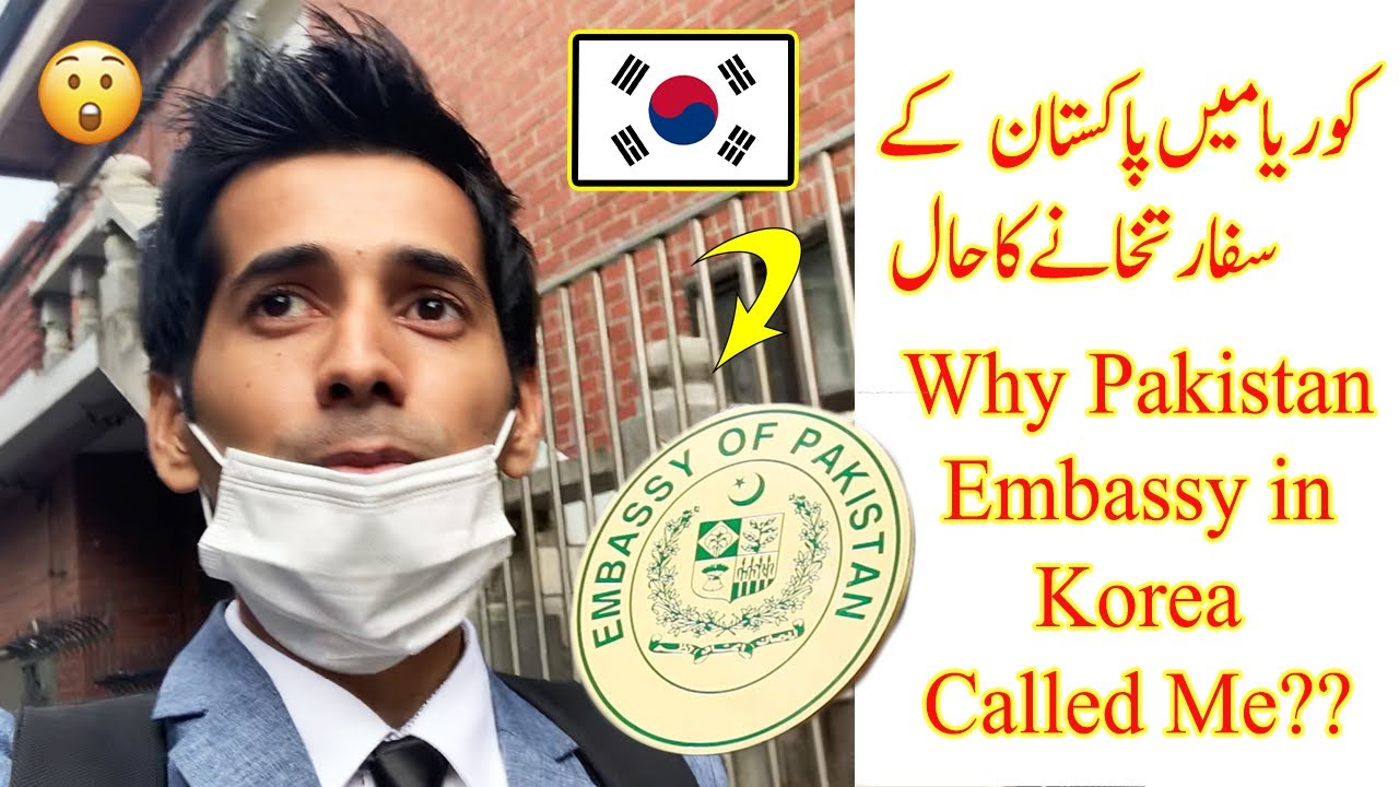 Why I Went To Pakistan Embassy in Korea? 😱 Famous Pakistanis in Korea
