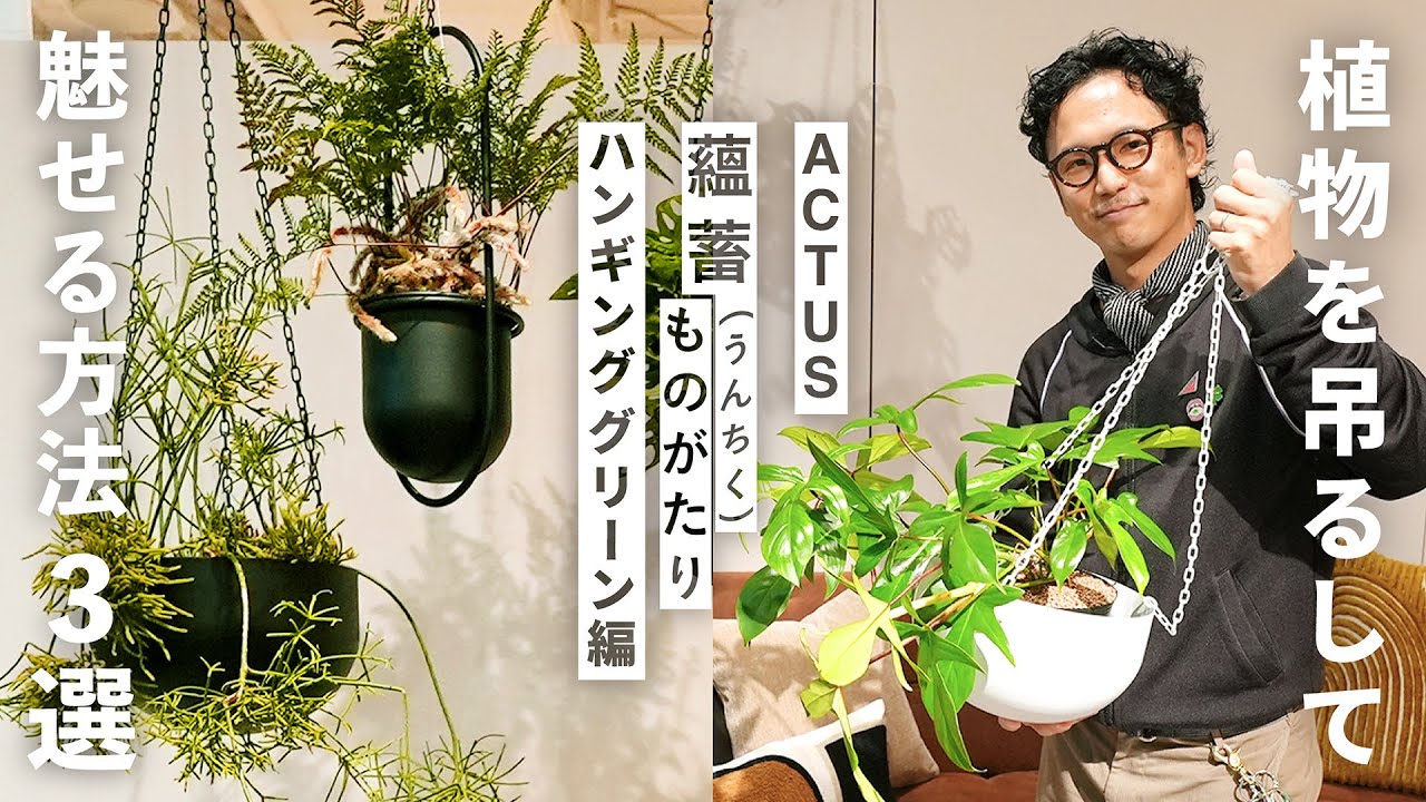 ハンギンググリーンってどうスタイリングすればいいの？
