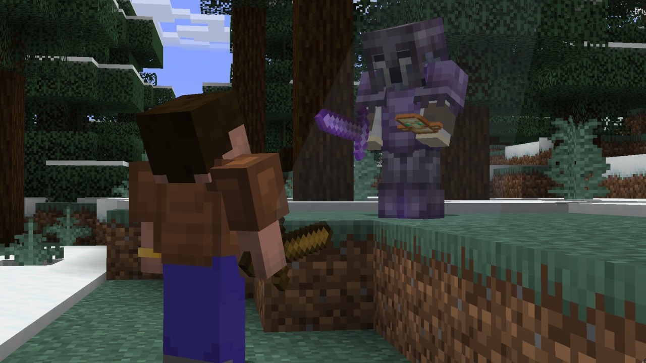 I Became a Minecraft Mercenary On a Hardcore SMP