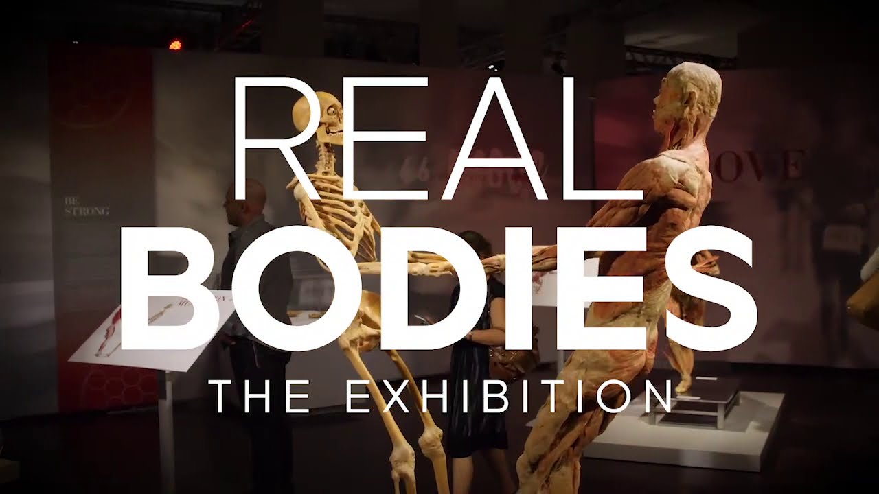 Real Bodies: The Exhibition