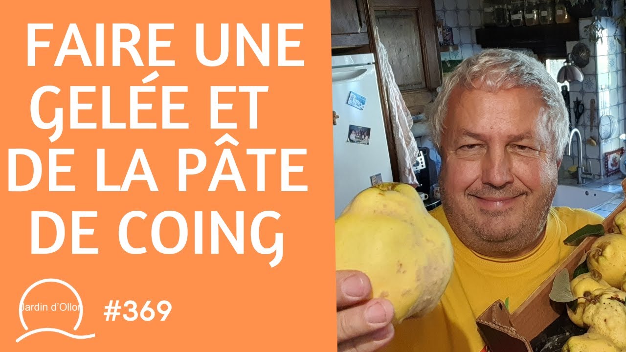 #369-Faire une gelée et de la pâte de coing !