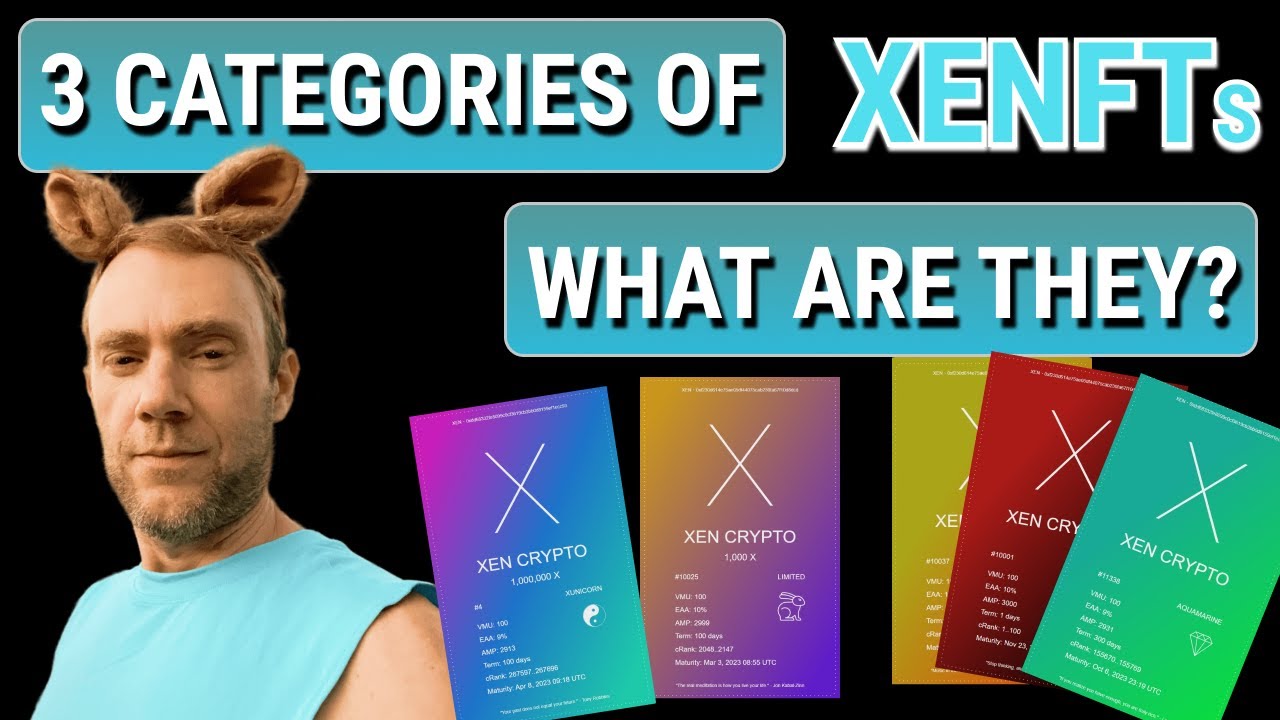3 Categories of XENFTs: What are they?