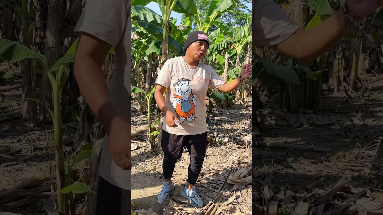 Le brindo una ayuda Rebeca estos pas&oacute; #funny  #viralshort