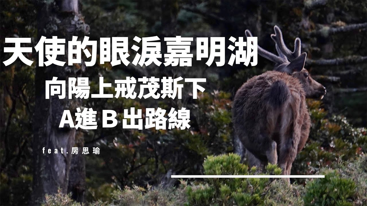 【班長帶你趣】嘉明湖 四天三夜 向陽上戒茂斯下