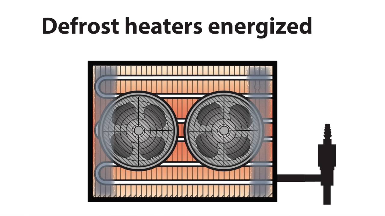 Iced Evaporator Coil on Walk in Freezer - Video 034 (FAQ Walkin Coolers, Walk in Freezers)