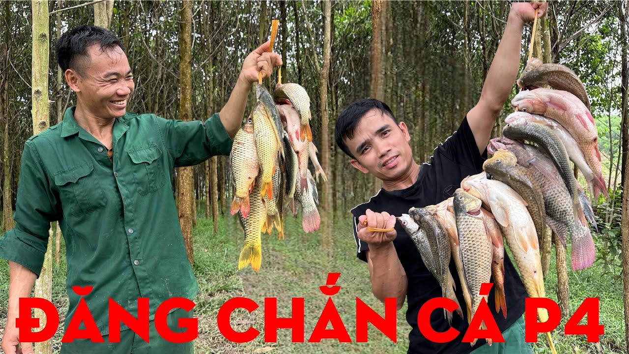 ĐĂNG CHẮN CÁ P4, THĂM HẠT DỔI ĐẦU MÙA-TỰ THỢ RỪNG 
