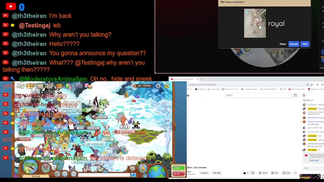 Animal Jam- Live stream