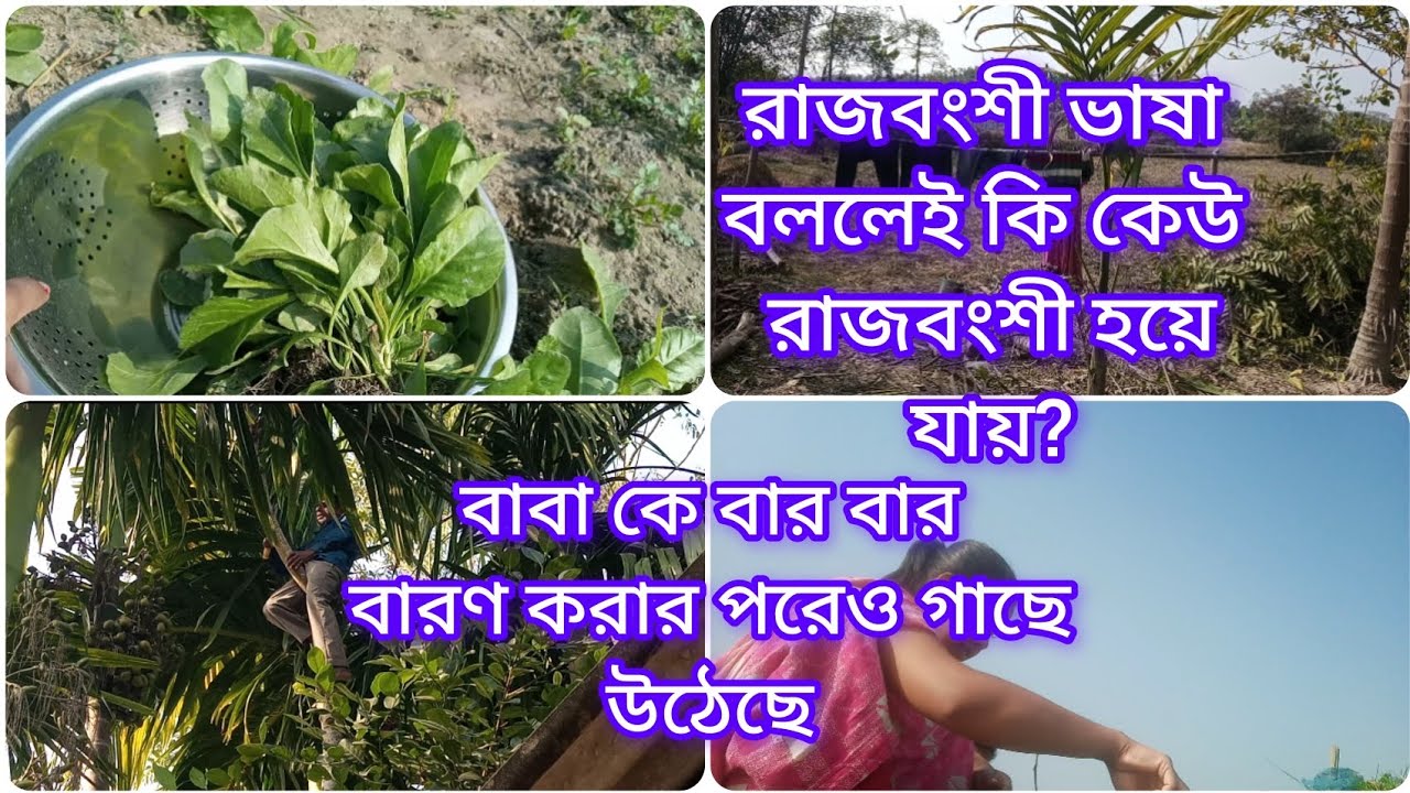 রাজবংশী ভাষা বললেই কি কেউ রাজবংশী হয়ে যায়।সবাই বলে আমি নাকি রাজবংশী 🙂#dailyvideo #mousumilifestyle 
