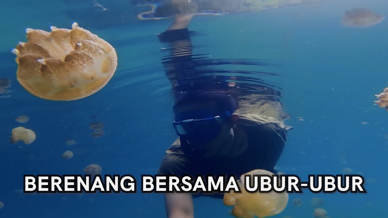 Danau Tersembunyi Penuh Ubur-ubur (Sulawesi Tenggara #4)