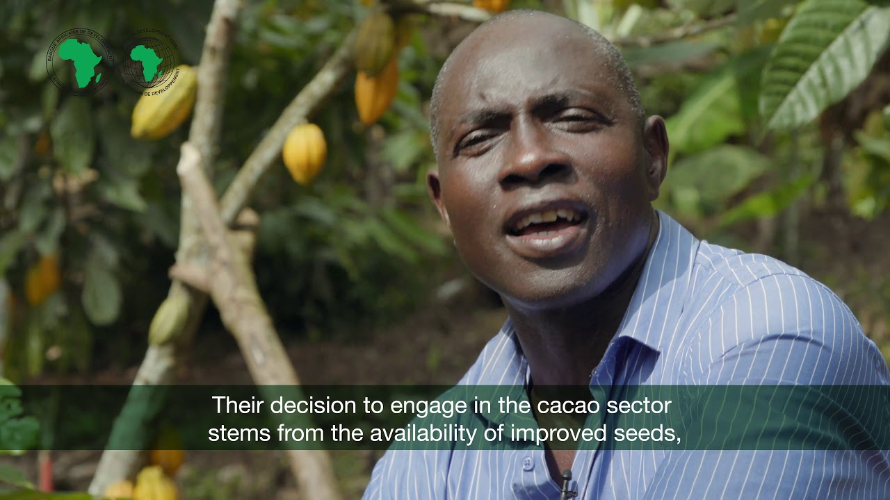 CAMEROUN CACAO