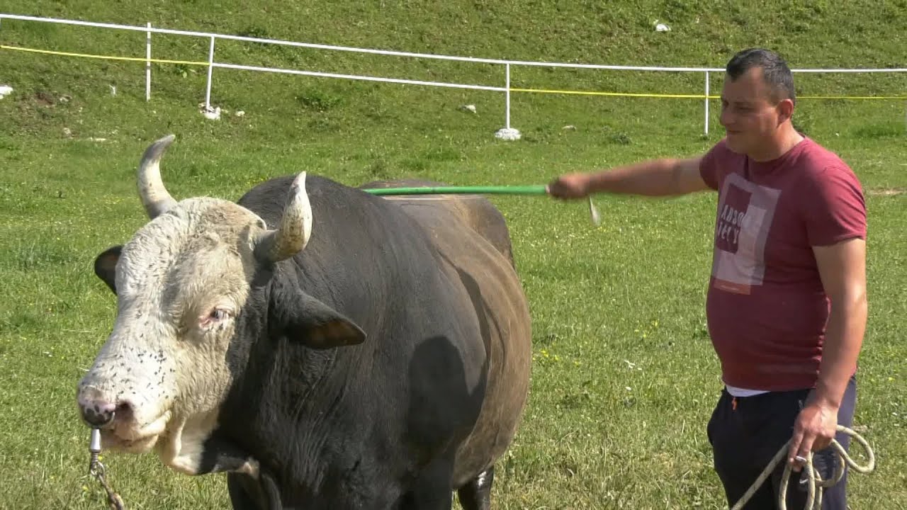 - BRIZAN U EDINOVOJ ARENI, KINIJA GA DOČEKAO, LISKOVICA 2024