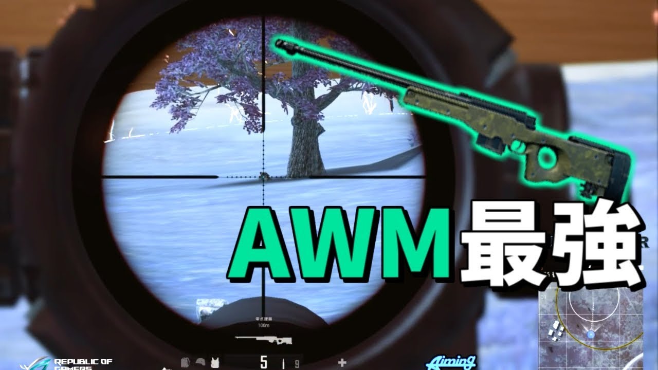 【PUBG】AWMで暴れ放題