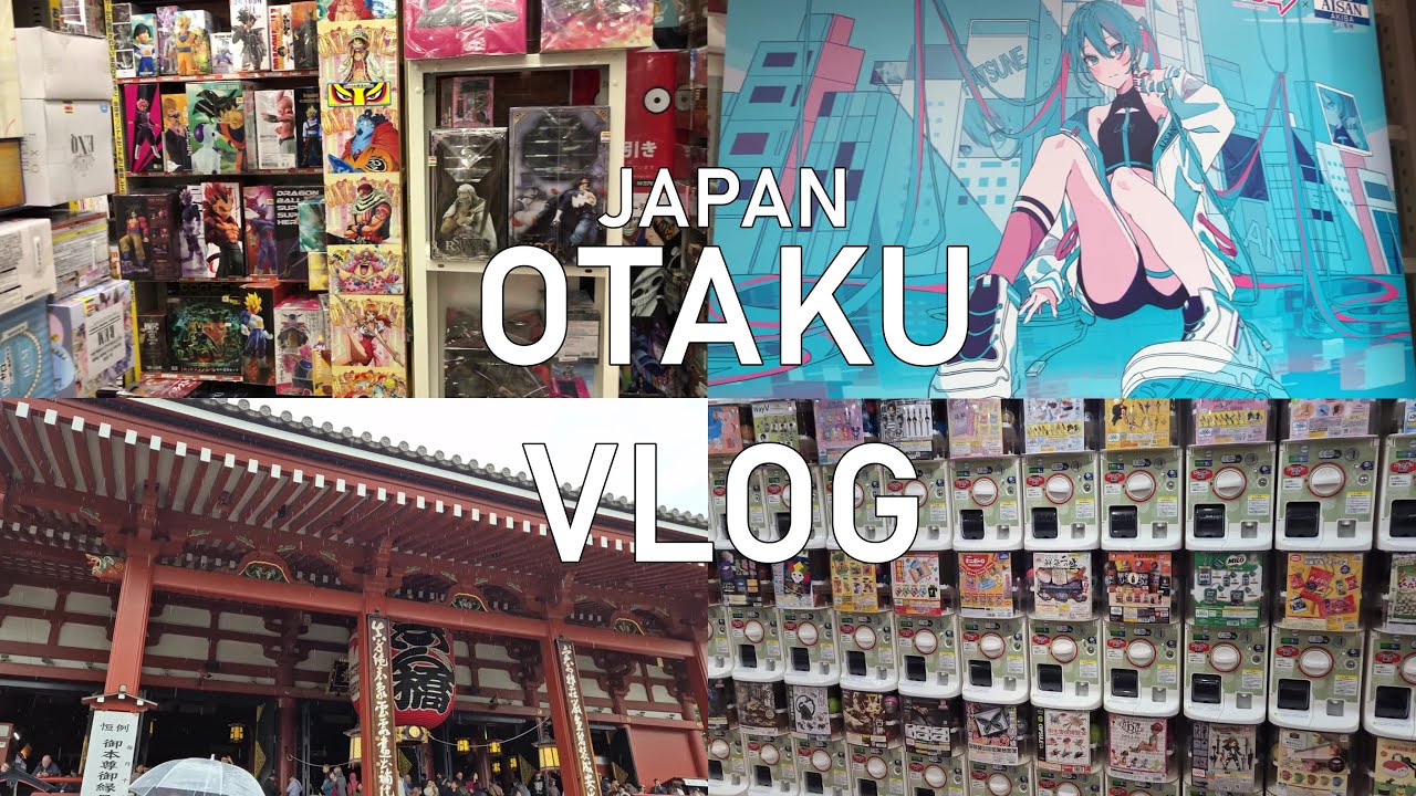 오타쿠 브이로그 36 | 일본 도쿄 4박 5일 여행 2탄, 아키하바라, 시부야, 라디오회관, 만다라케, 애니메이트, 점프샵, 아사쿠사, 가챠, 굿즈깡 | 하이큐 | 트위스테