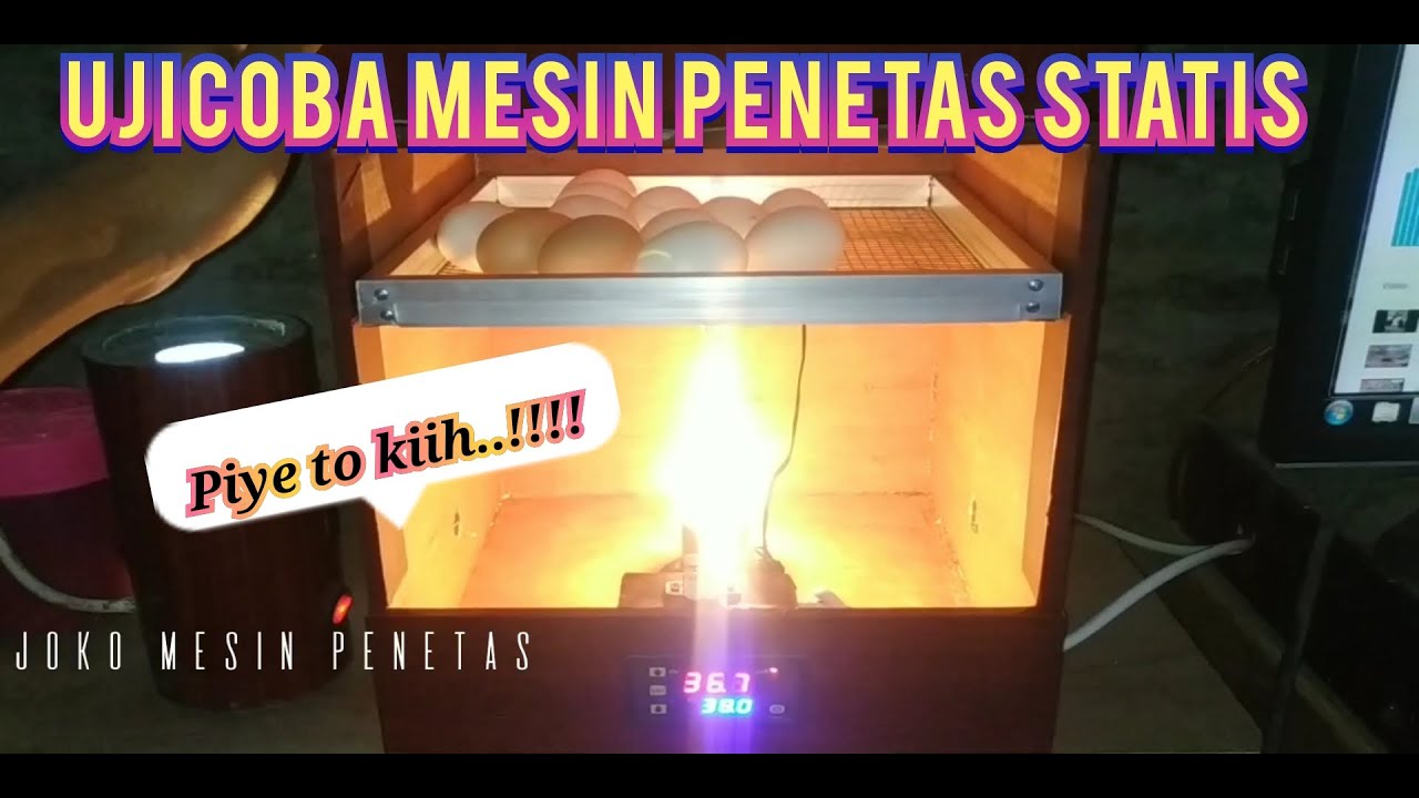upgrade mesin penetas telur manual & ujicoba mesin penetas telur statis