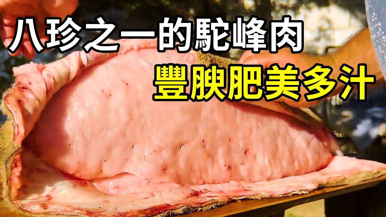 古代八珍之一的駝峰肉，豐腴肥美多汁，比熊掌還美味！ | 三千世界 #紀錄片 #有趣  #creative