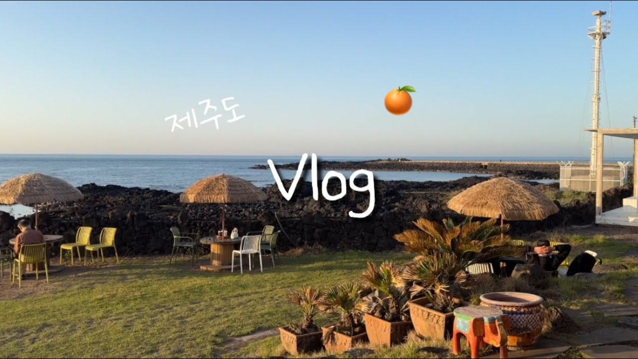 [Vlog] 4월 제주도 여행🍊(보알모알, 화로위, 비밀의숲, 인생 보말칼국수)