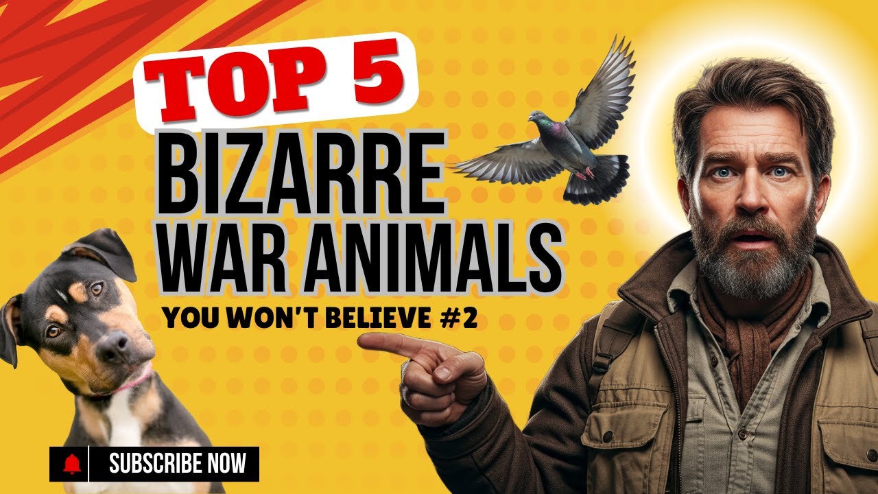 Top 5 Bizarre War animals