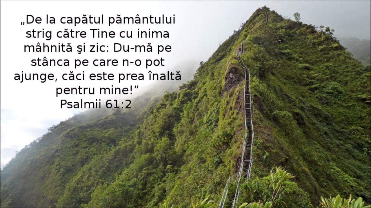 Nicu Cozma - Spre cer încerc a mă sili