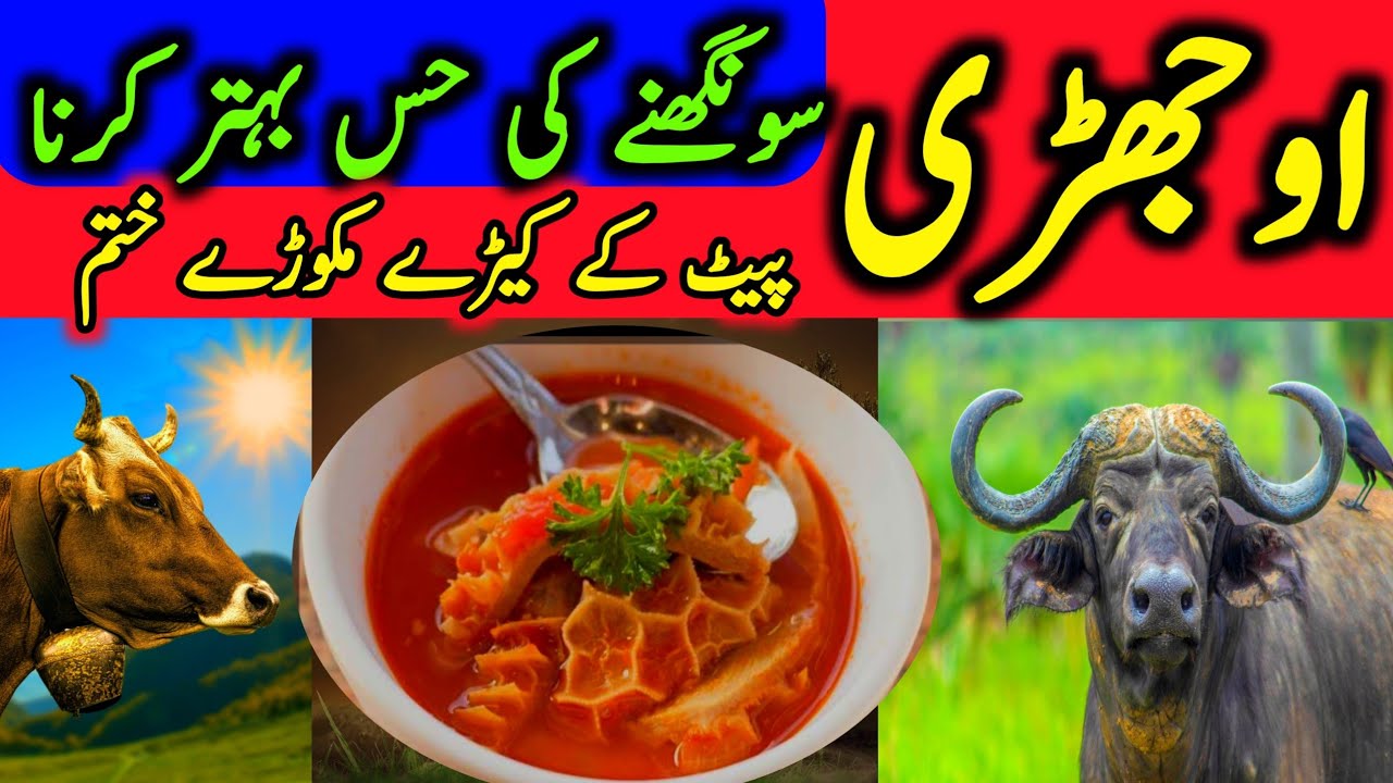 Ojri Khane Ke Fayedy | Ojhri Ke Fayedy | Ojhri Pakane Ka Tariqa | Ojhri Saaf Kane Ka Tariqa