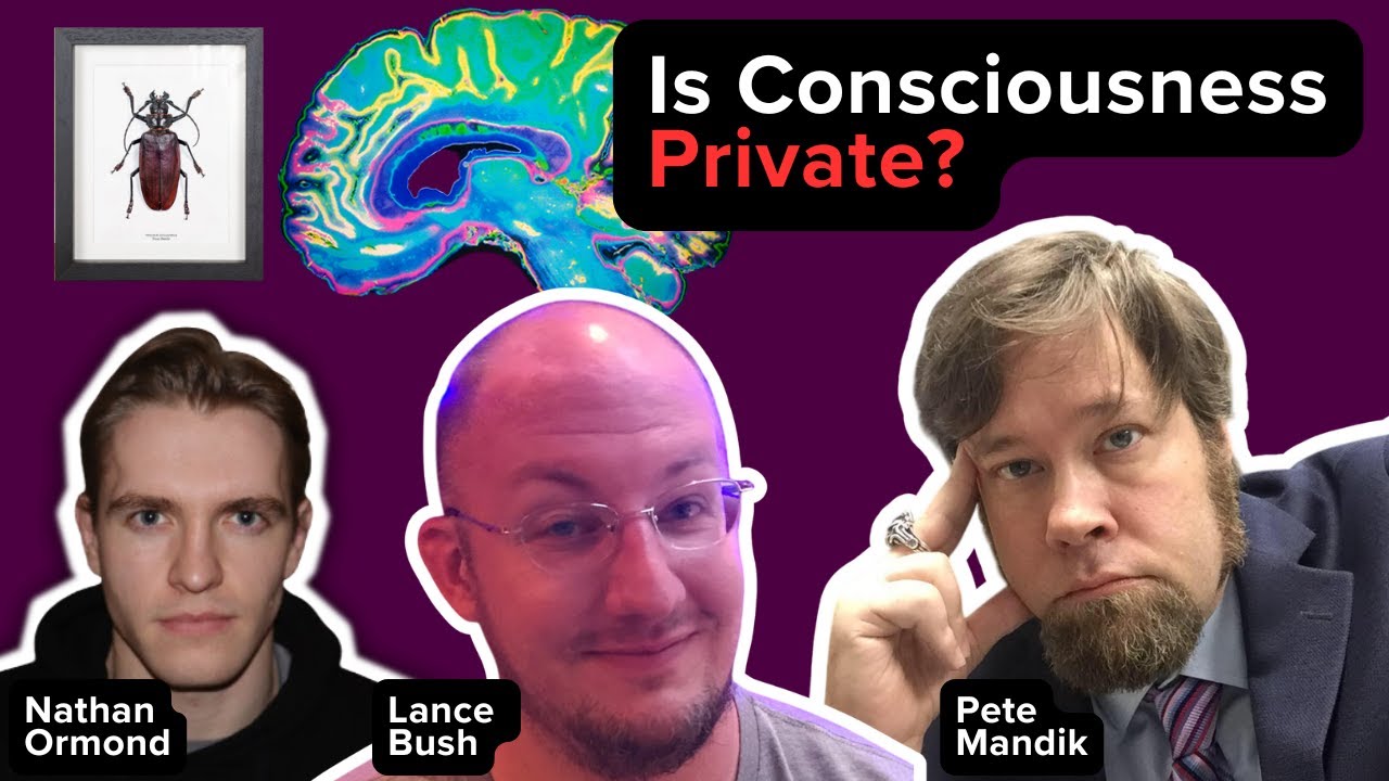 Consciousness & Privacy - Pete Mandik & Lance Bush