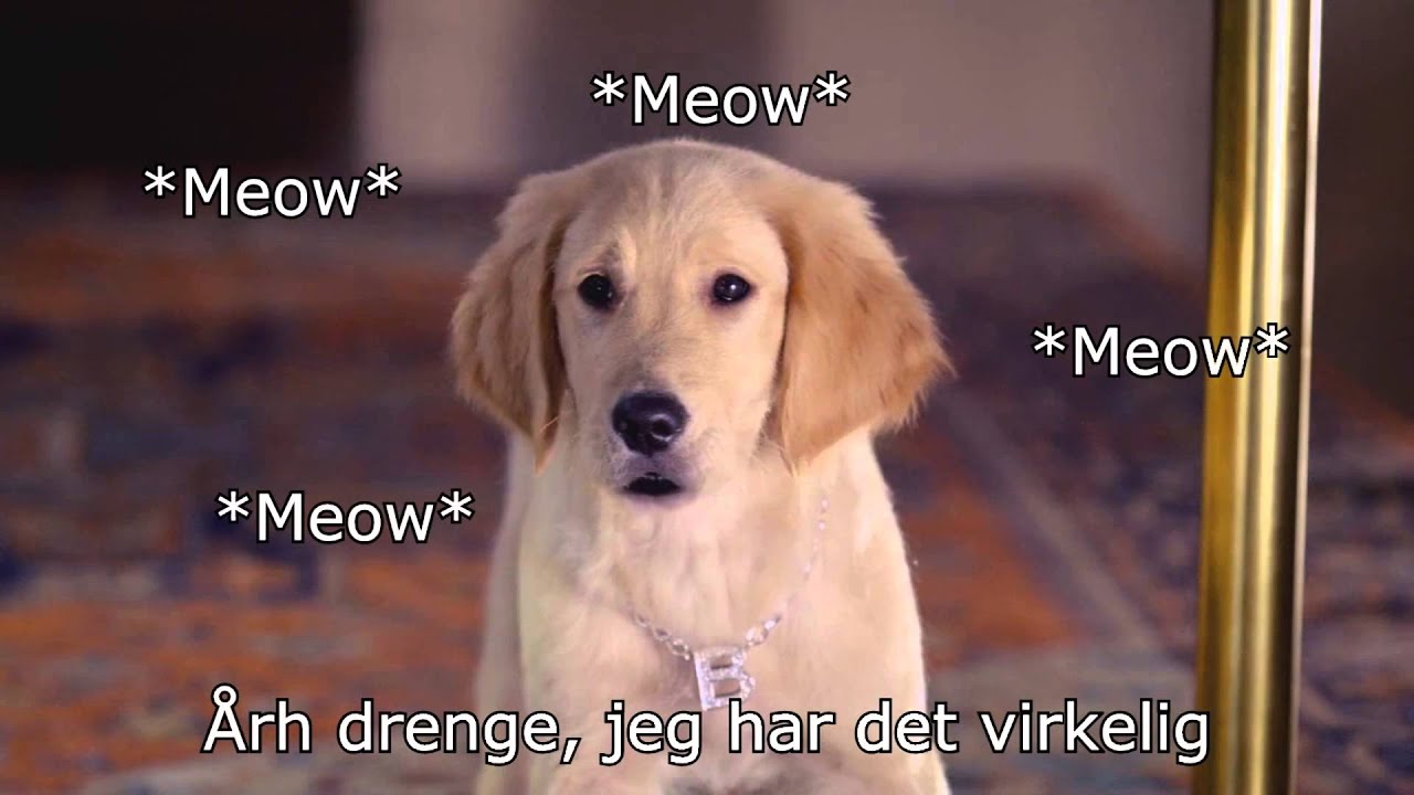 De Gyldne Hentere og Den Sindsoprivende Regnbue