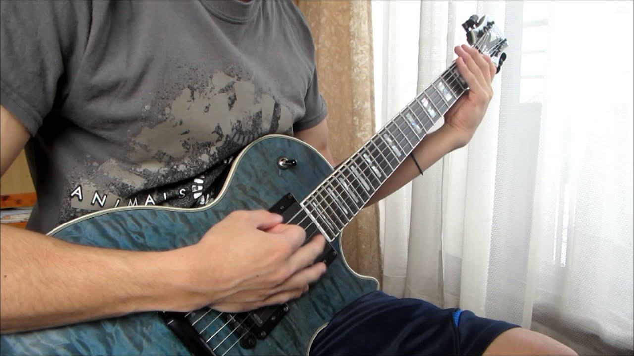 BREAKDOWN OF SANITY - The Storm (Guitar Cover) HD
