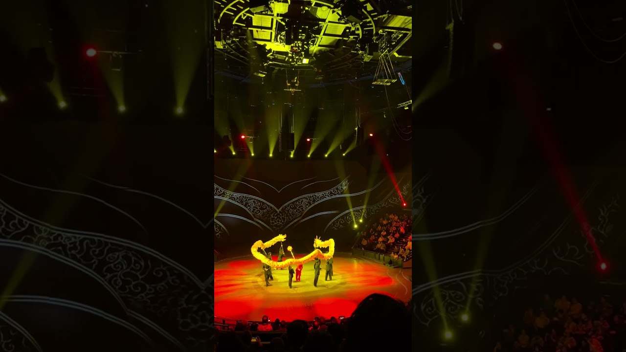 Dragon Acrobatic Circus show in Shanghai 2024, a world-famous circus. China. Full HD
