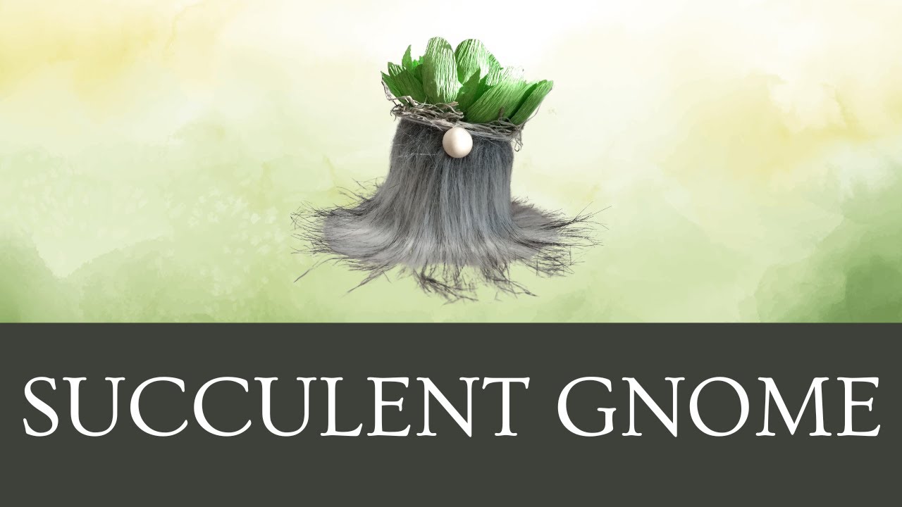 Succulent Gnome