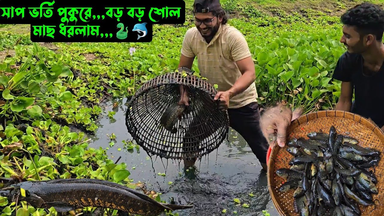 সাপ ভর্তি পুকুরে,,,বড় বড় শোল মাছ ধরলাম,,,🐍🐬
