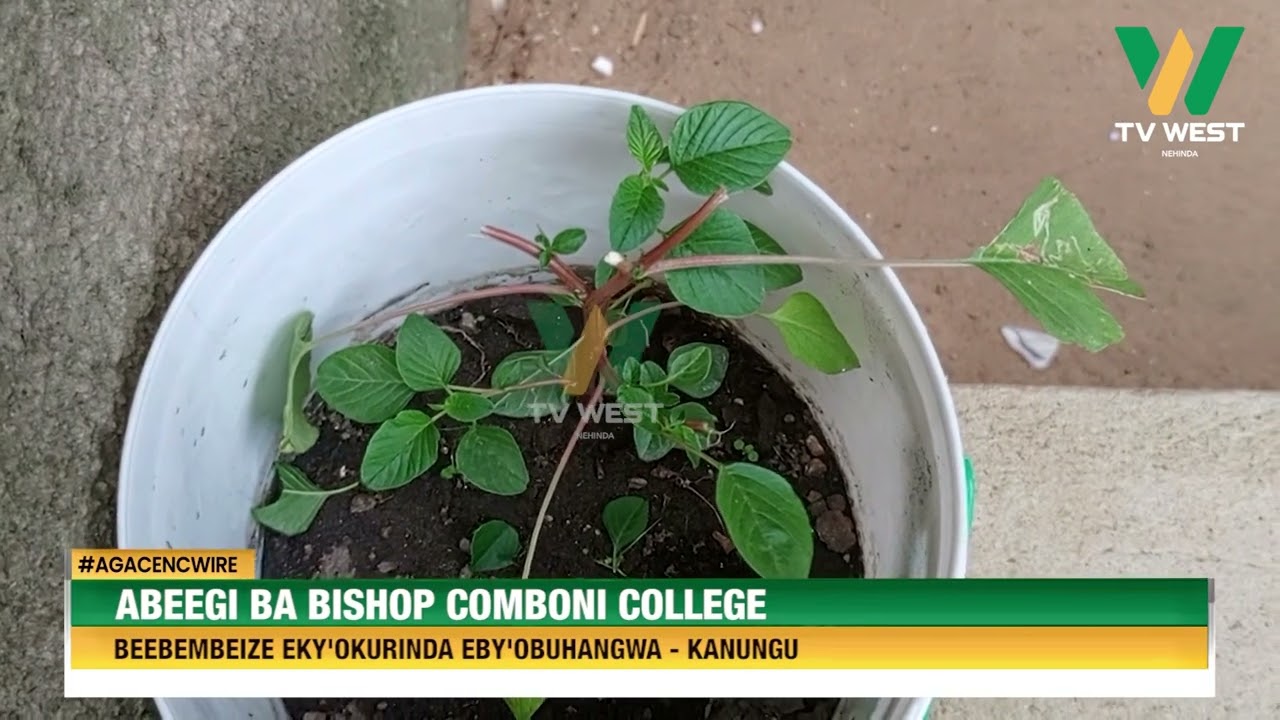 AGACENCWIRE: Abeegi ba Bishop Comboni College beebembeize eky'okurinda eby'obuhangwa.