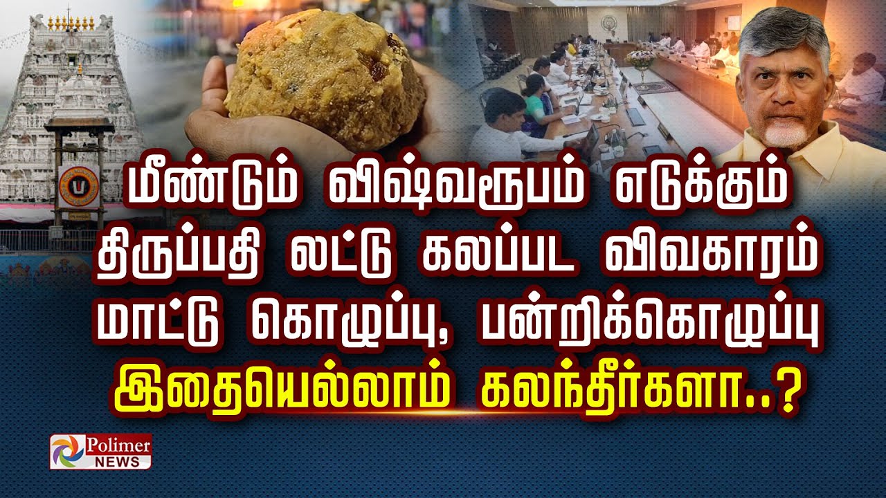 மீண்டும் விஷ்வரூபம் எடுக்கும் திருப்பதி லட்டு கலப்பட விவகாரம் மாட்டு கொழுப்பு, பன்றிக்கொழுப்பு.....,
