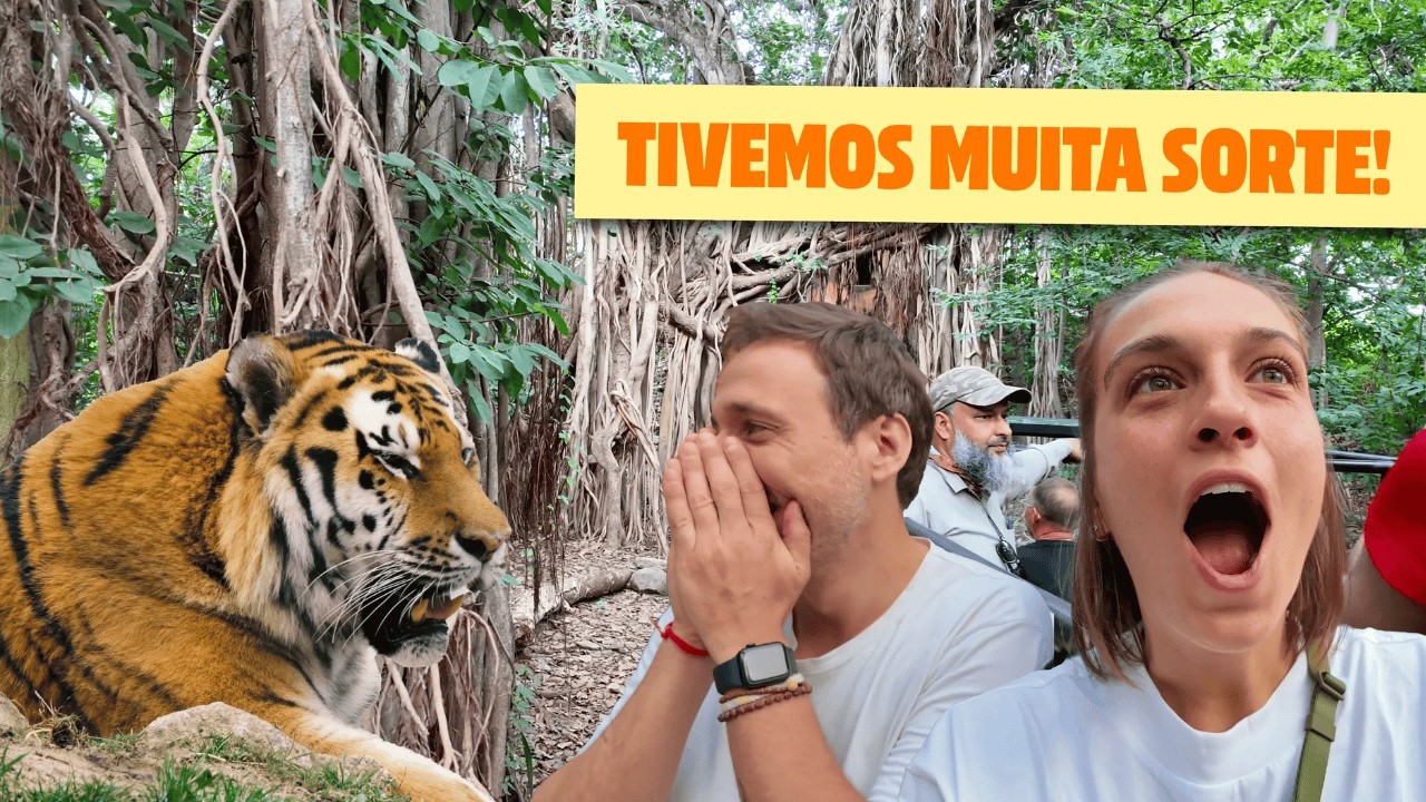 COMO É FAZER UM SAFÁRI NA INDIA? Vale a pena?