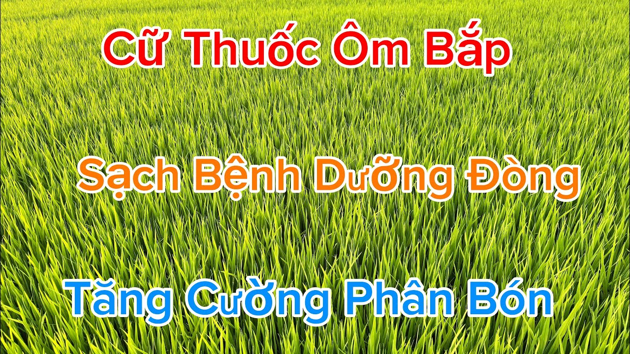 ngày 4 tháng 2, 2026