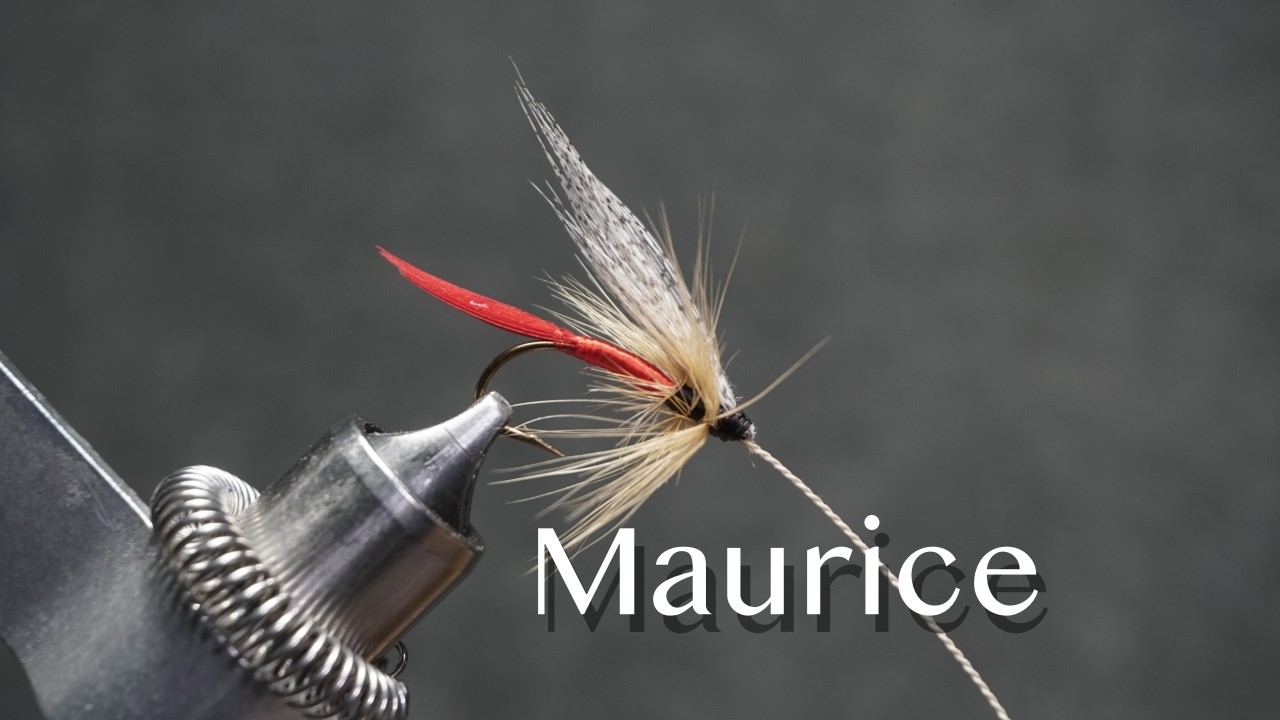 Maurice: a trout fly pattern from Favorite Flies and Their Histories (1892) by Mary Orvis Marbury