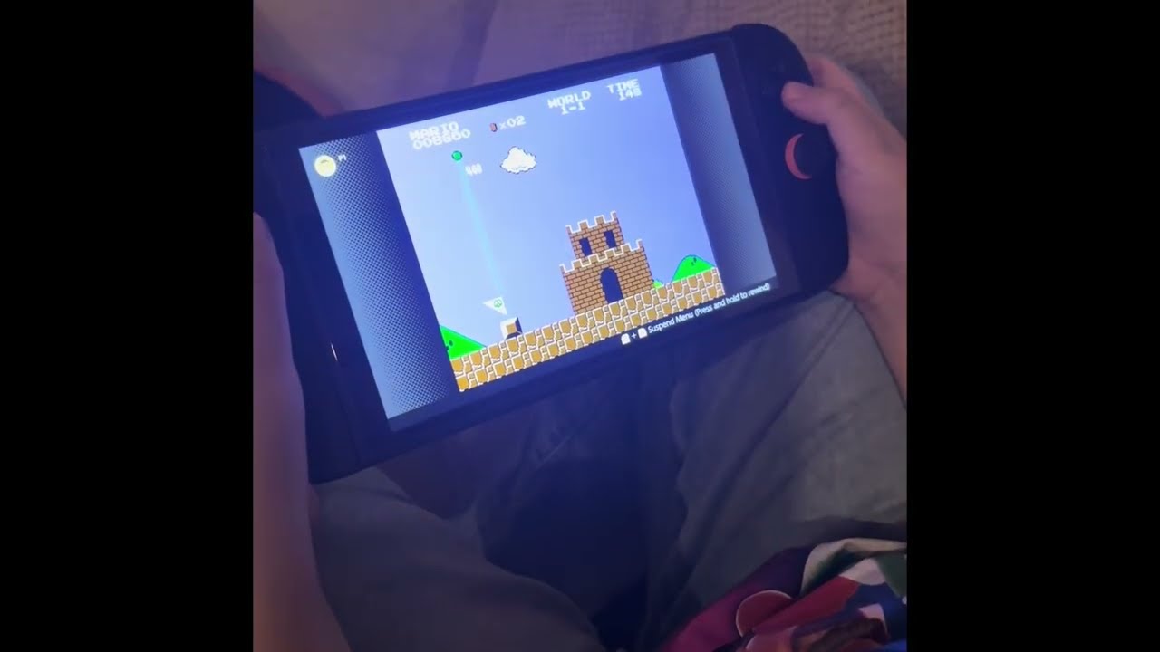 Mario Day Celebration 